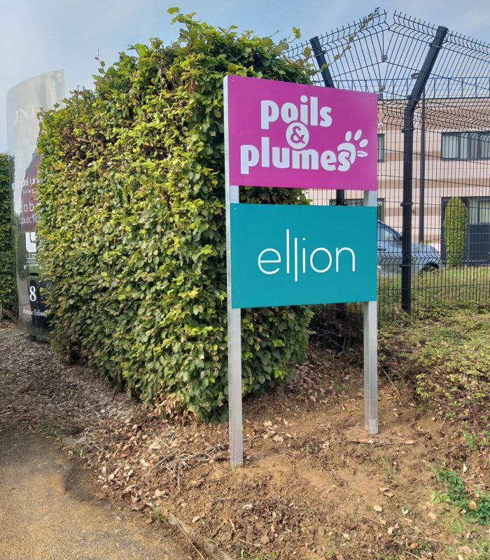 totem poils et plumes